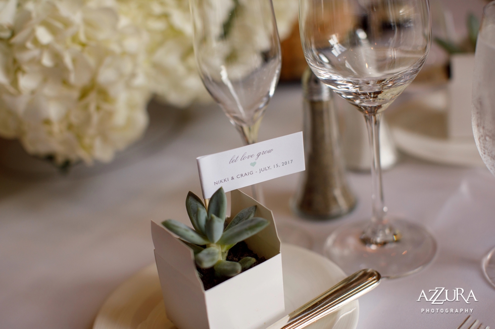 succulents_as_wedding_favors