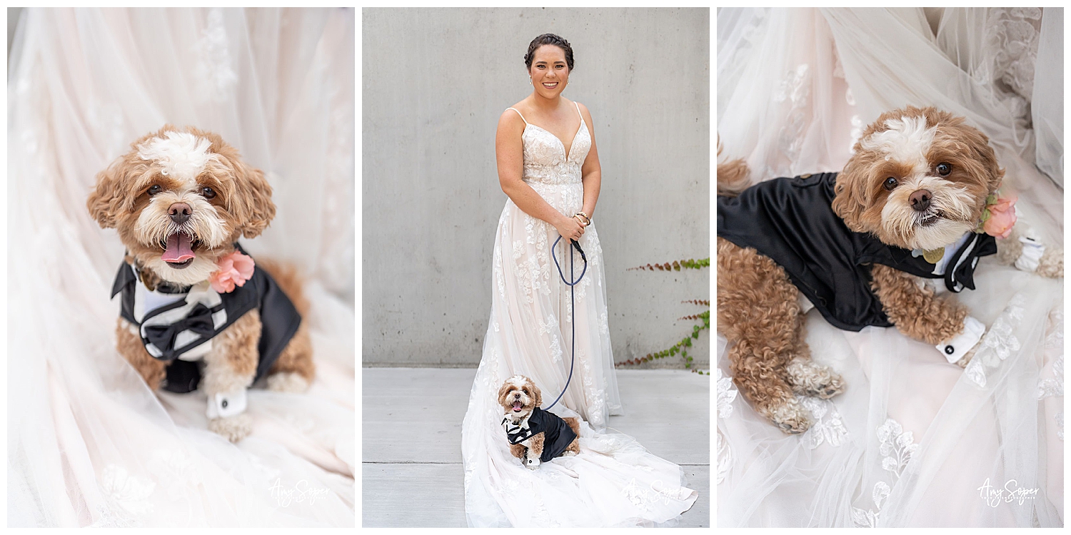 bride with her dog 