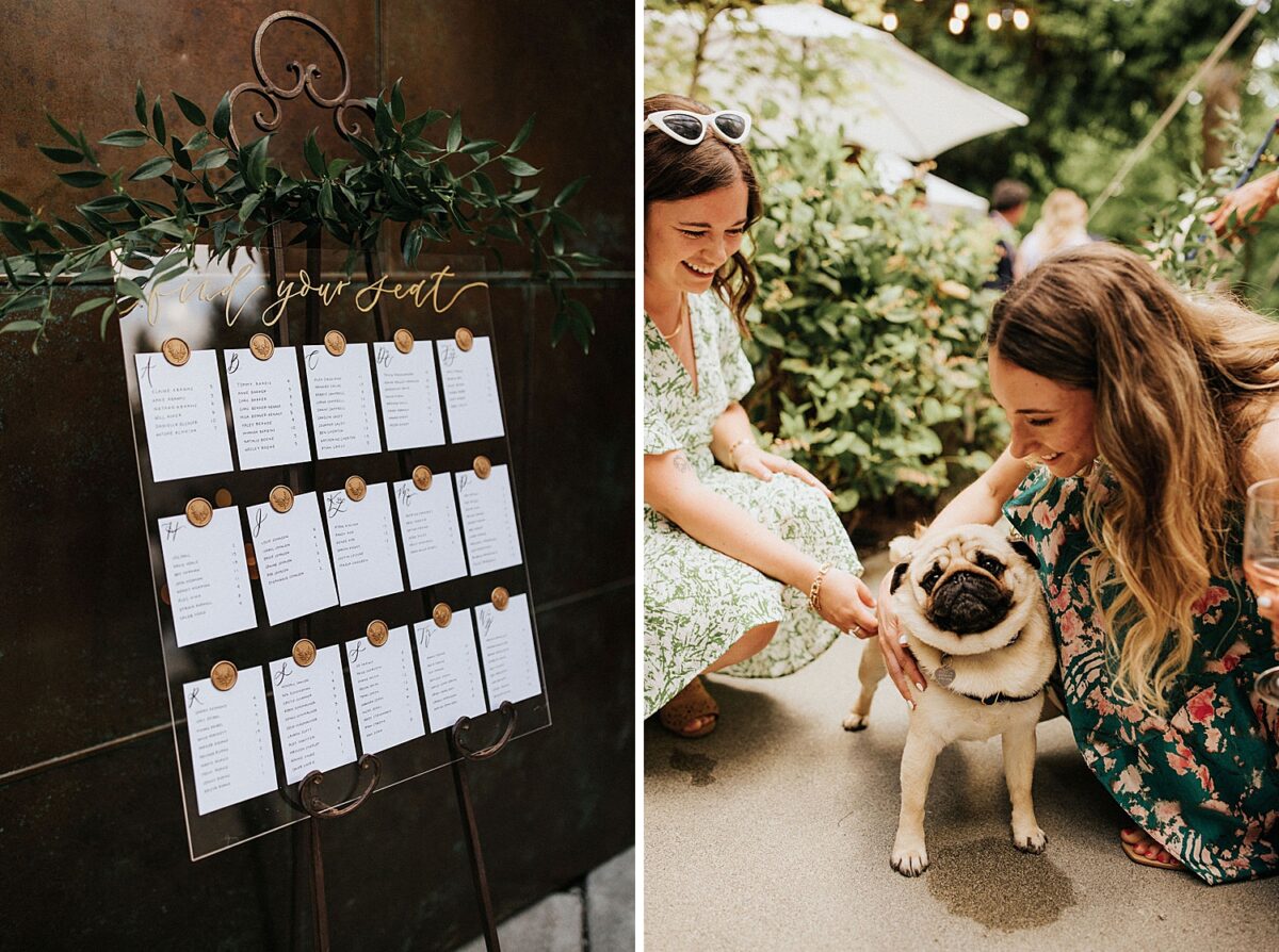 dog and escort card display 